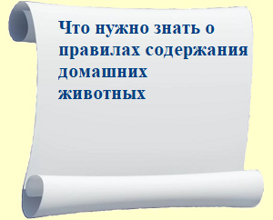 paper